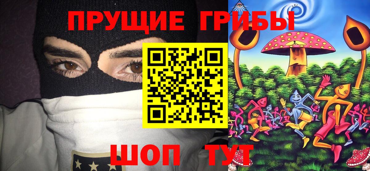 Дербент  Галлюциногенные грибы мухоморы  Вход с VPN 