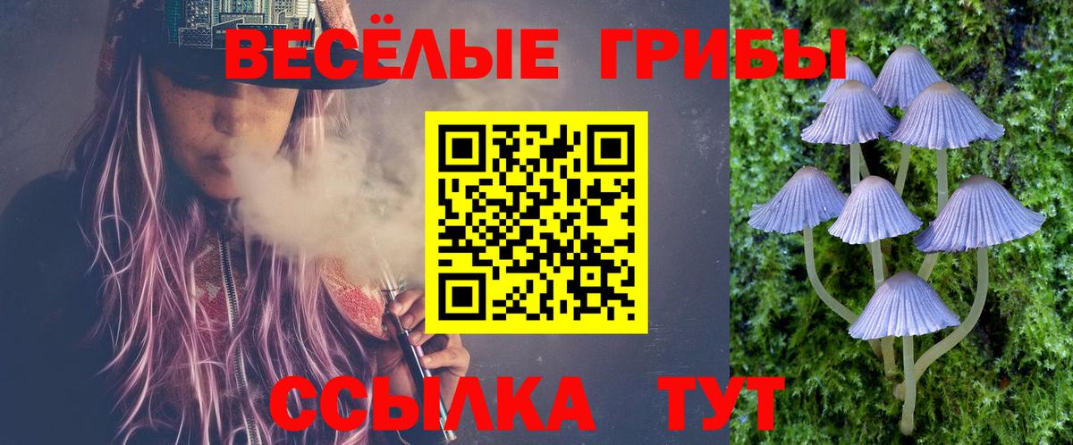 Лсд 25  Дербент  МАРИХУАНА  Мефедрон   Вход с VPN  Где купить  Alpha PVP СК   Гашиш 